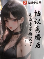 协议离婚后:总裁妻子悔哭了